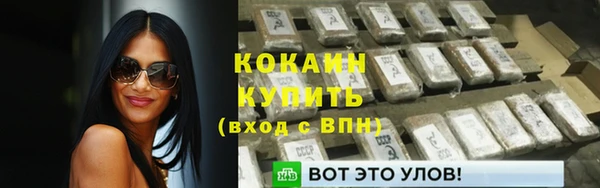 сатива Гусев