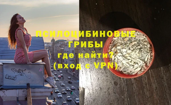 сатива Гусев