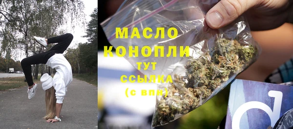 сатива Гусев