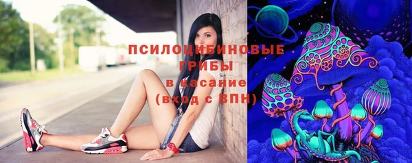 сатива Гусев