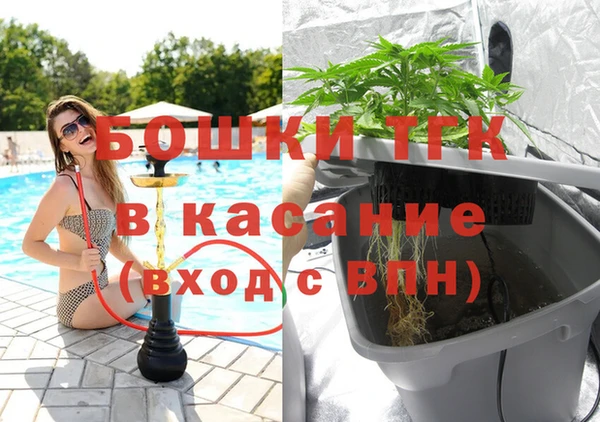 сатива Гусев