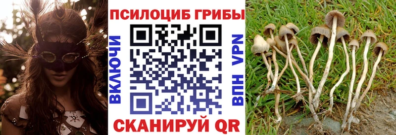 Псилоцибиновые грибы MAGIC MUSHROOMS  Купить где  Белёв 